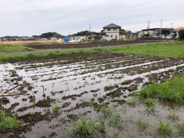 【農事（作事）日誌】　弥生三日