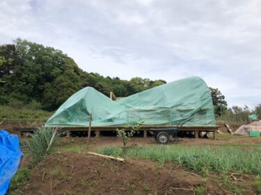 【農事（作事）日誌】　弥生二十八日